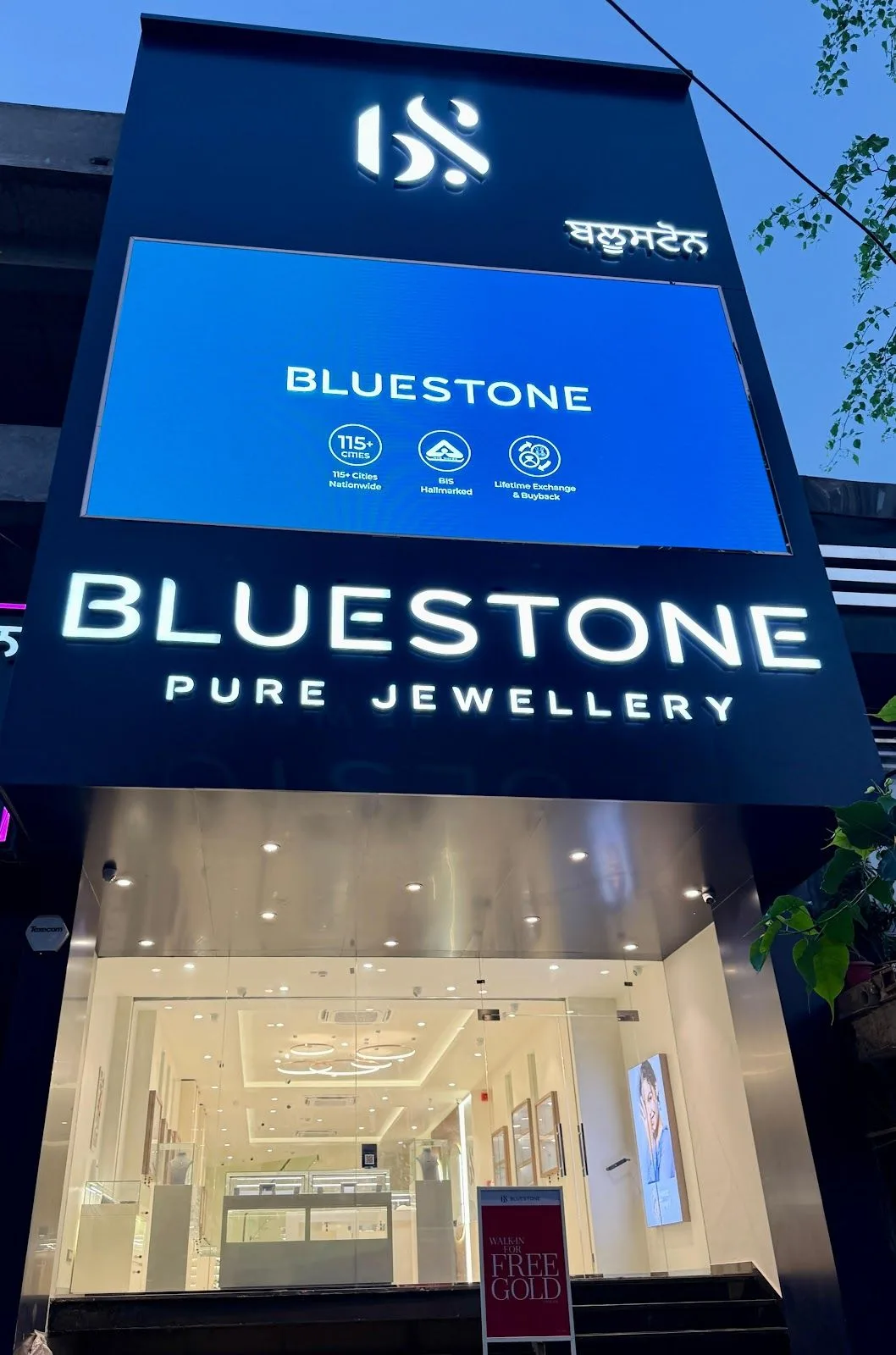 BlueStone Jewellery Dalhousie Road, Pathankot — photo