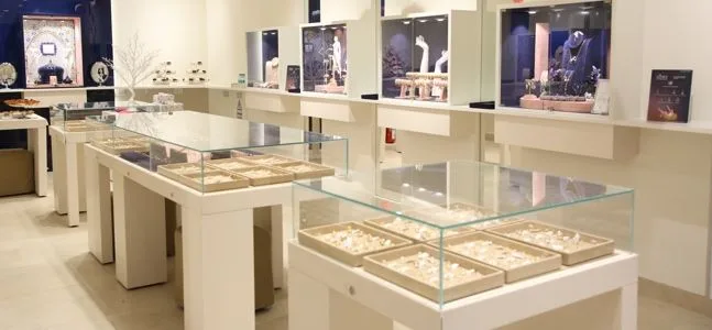 BlueStone Jewellery Rikabganj, Ayodhya — photo