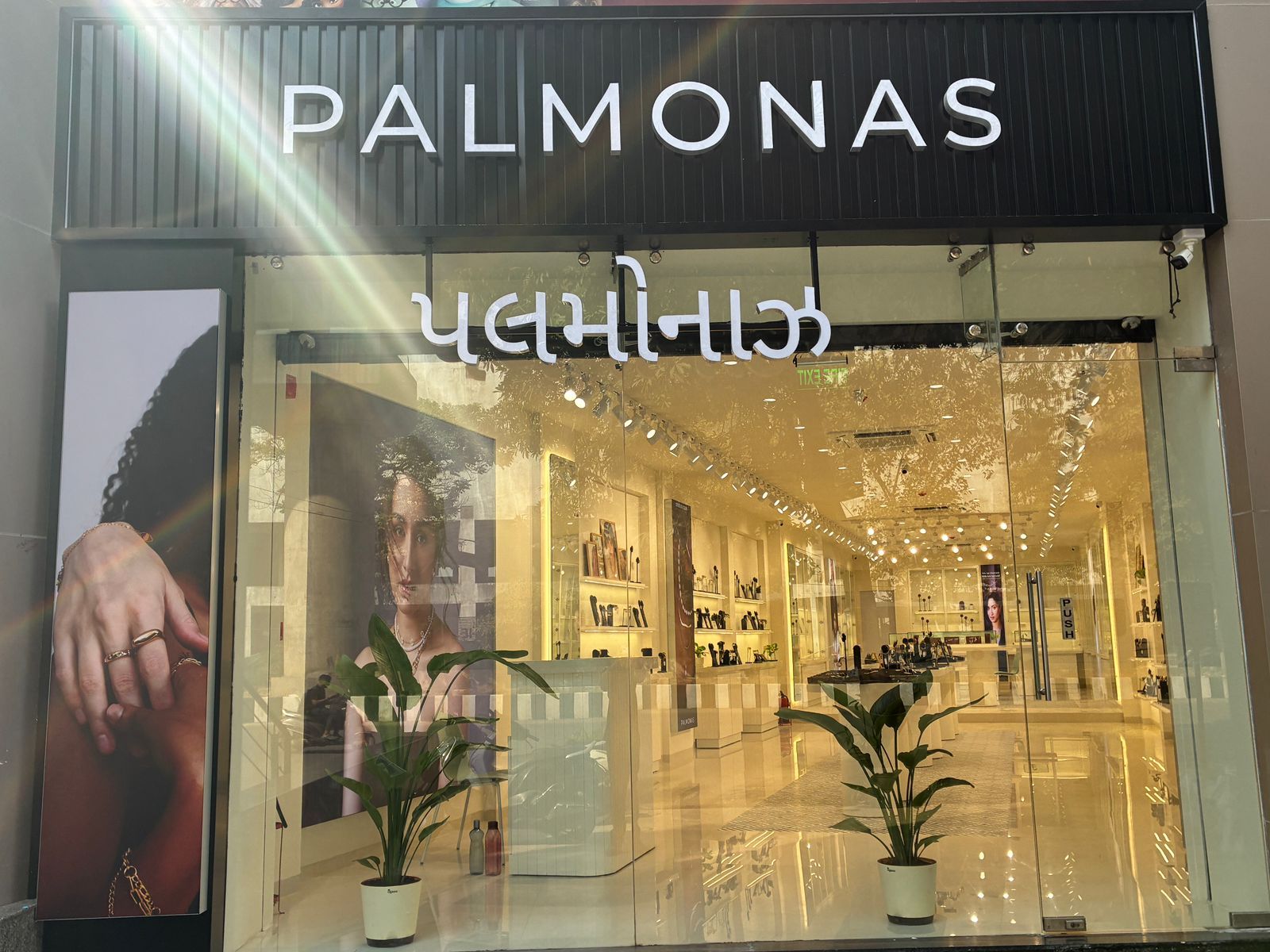 Palmonas LP Savani — photo