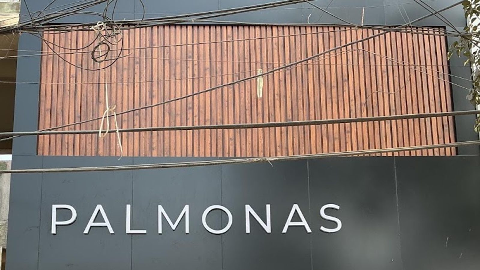 Palmonas - Sector 14