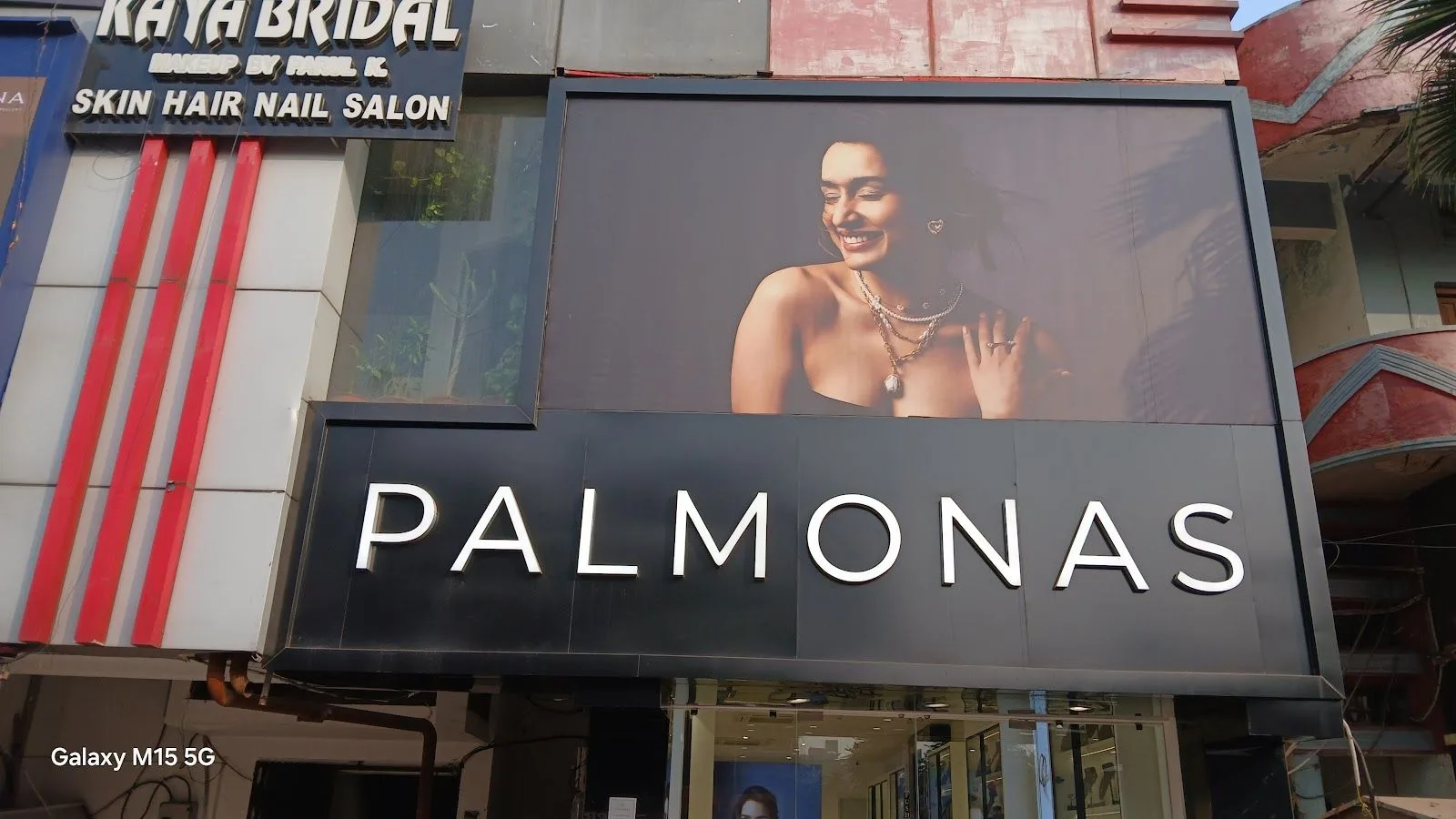 Palmonas - Civil Lines — photo