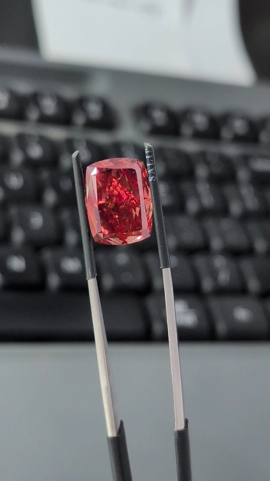 NV DIAMOND — photo