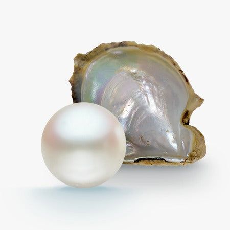 Jai Shree Krishna Gems and Jewels — photo