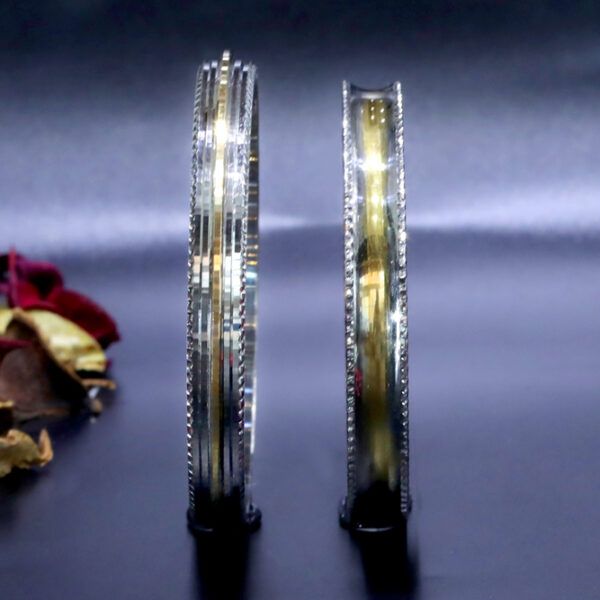 V V Silver Palace Private Limited — photo