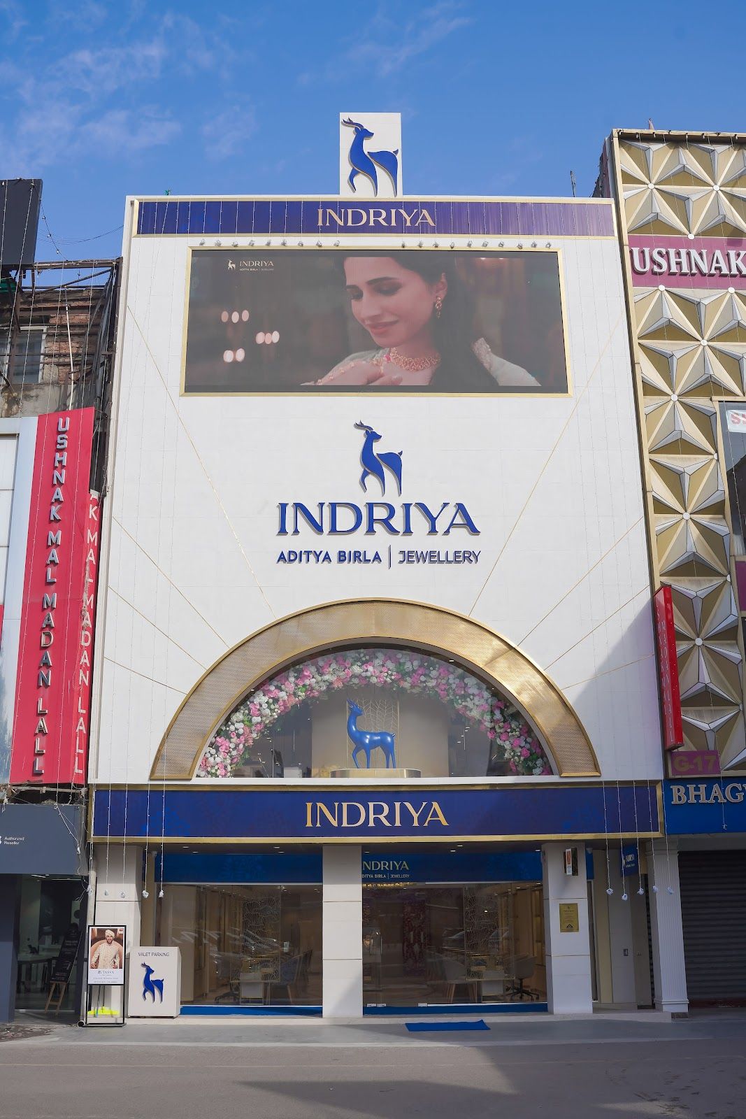 Indriya - Aditya Birla Jewellery - South Ex, New Delhi — photo