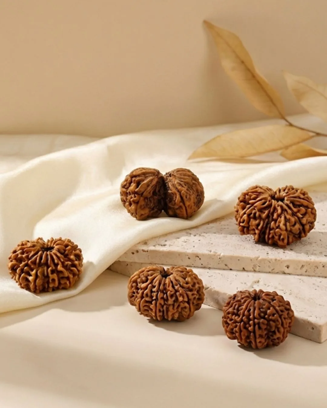 Himalaya Rudraksha Anusandhan Kendra — photo