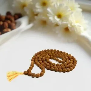 Himalaya Rudraksha Kendra — photo