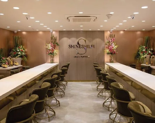SHINESHILPI JEWELS — photo