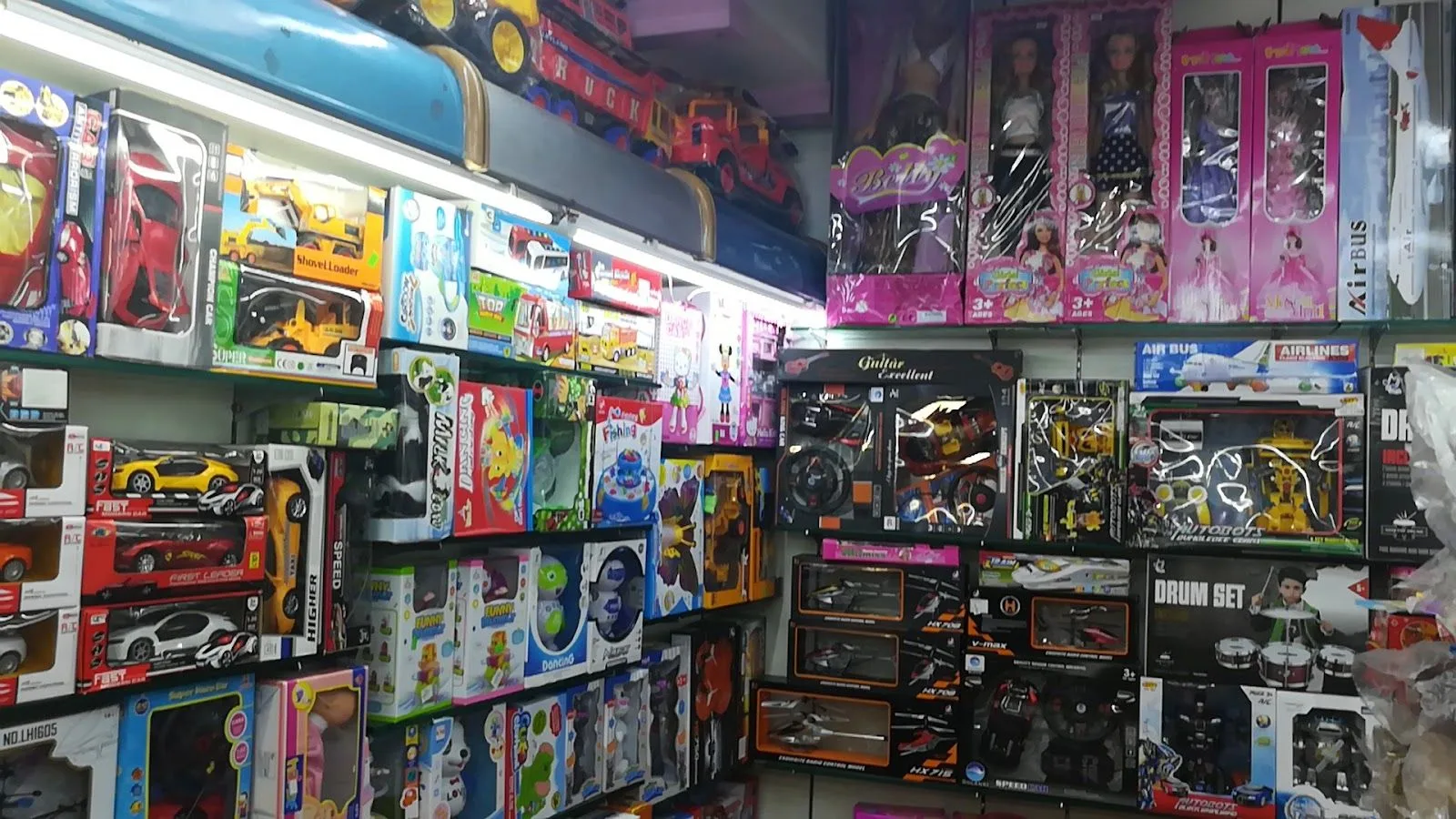 Adams collection adyar