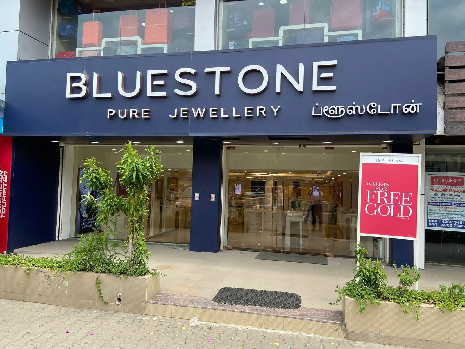 BlueStone Jewellery Adyar, Chennai